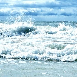 Meet your Posher, Liliana